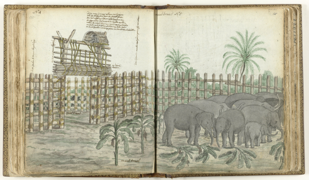 Offenes Buch-Illustration mit einer Gruppe von Elefanten in einem Zoogehege mit Bäumen, Pflanzen und einem Zaun, begleitet von Text.