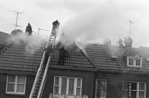 FW-BO: Feuerwehrleute retten hilfloses Kätzchen 'Loki' vom Dach eines Wohngebäudes