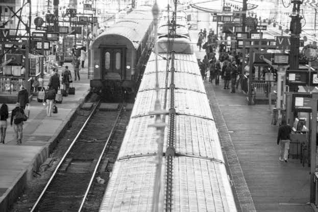 Menschen auf einem Bahnsteig neben stehenden Zügen.