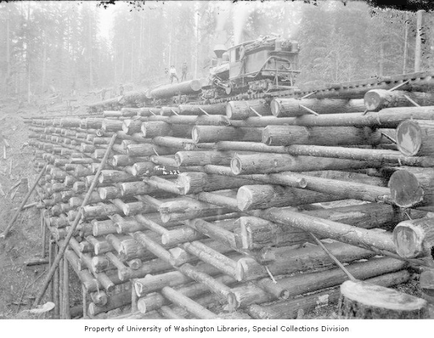 Schwarzes und weißes Foto eines Holzfällerlaster neben einem Haufen Holz in einem bewaldeten Gebiet, mit mehreren Personen auf den Holzstapeln und Bäumen im Hintergrund.
