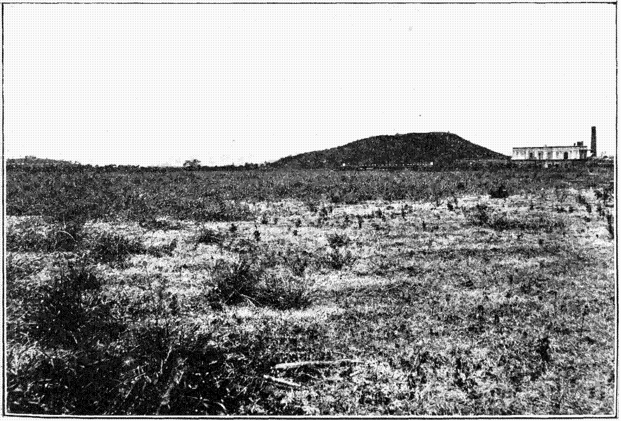 Schwarz-weißes Foto eines Feldes mit einem Hügel im Hintergrund, einem Gebäude auf der rechten Seite und einem Himmel oben, mit dem Text 'New York State Penitentiary' unten.