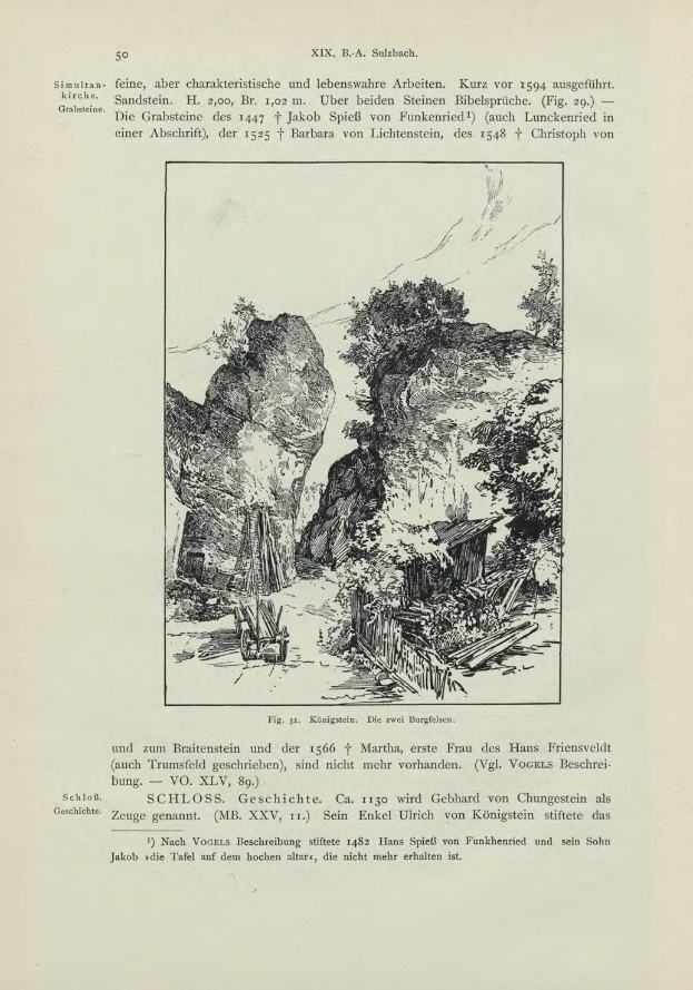 Offenes Buch mit einer Illustration einer Berglandschaft, die grüne Bäume, zerklüftete Felsen und eine markante Textbeschreibung zeigt.