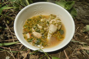 Eine Schüssel Hühnchen- und Gemüsebrühe auf dem Boden, umgeben von Blättern und Steinen.