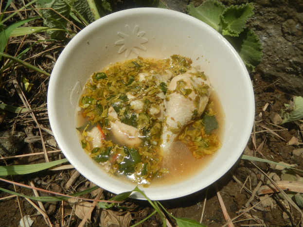 Eine Schüssel Hühnchen- und Gemüsebrühe auf dem Boden, umgeben von Blättern und Steinen.