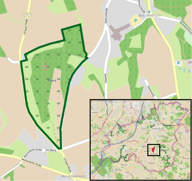 Ein detaillierter Stadtplan, der einen zentralen grünen Bereich als vorgeschlagenes Entwicklungsgebiet markiert, mit umliegenden Straßen, Gebäuden und Sehenswürdigkeiten.