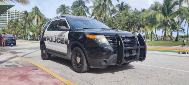 Polizeiauto am Straßenrand mit Menschen, Fahrrädern, Gras, Bäumen, Gebäuden und einem klaren blauen Himmel im Hintergrund.