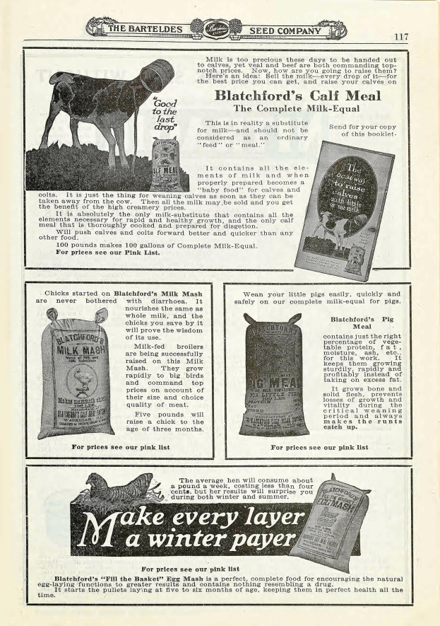 Eine alte Werbung für Blatchford's Kalbemahl mit einer hellbraunen Kuh mit weißem Maul und Brust, aufgestellten Ohren und einem freundlichen Gesichtsausdruck, umgeben von fetter gelber Schrift.