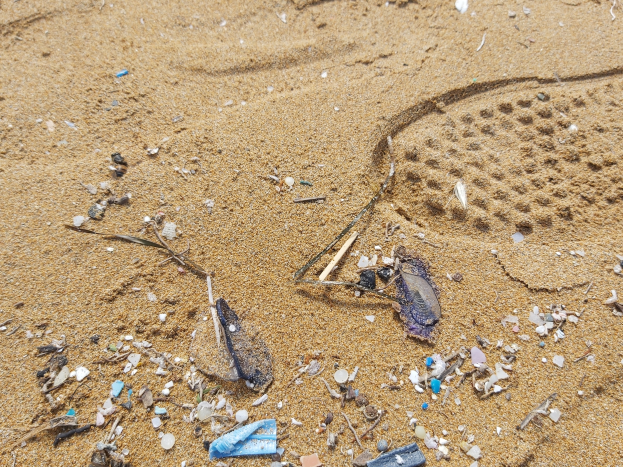 Ein Strand voller M├╝ll und Tr├╝mmern, darunter Plastikflaschen, mit sichtbaren Fu├čabdr├╝cken im Sand.