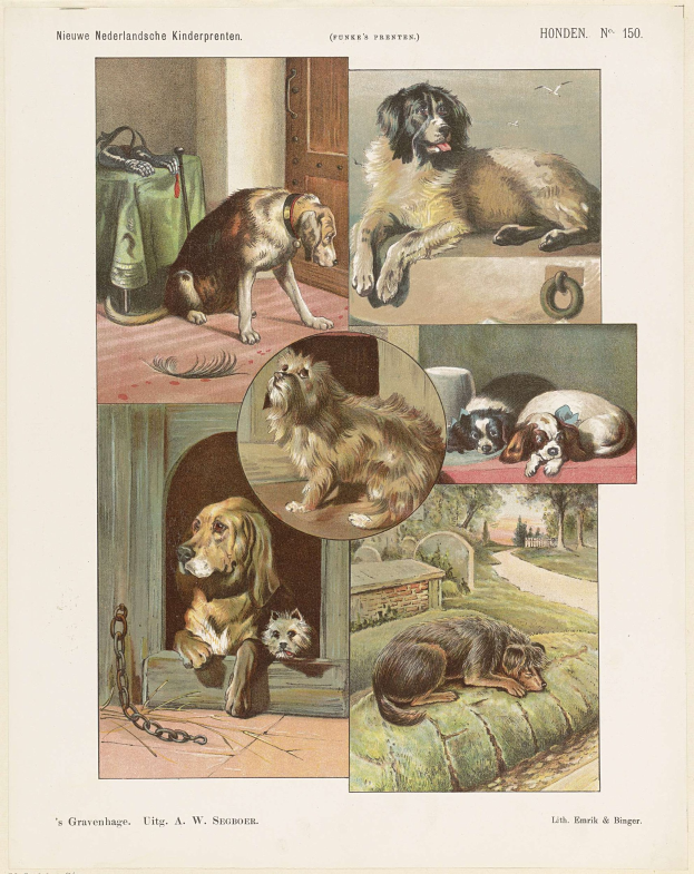 Eine Buchseite mit verschiedenen Hundewelpen und begleitendem Text.