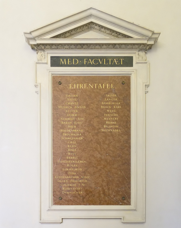 Rechteckige weiße Plakette mit schwarzer fetter Schrift "Med Facilitat" in der Mitte auf einer Gebäudewand.