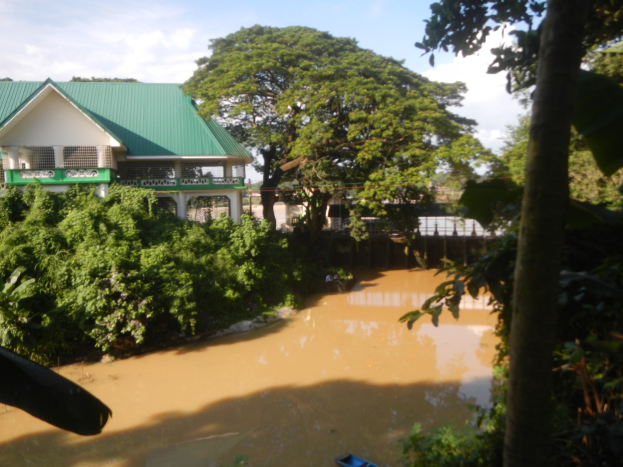 Ein Haus mit einem grünen Dach steht in der Mitte einer überfluteten Straße, umgeben von Bäumen und Pflanzen, mit Wasser im Vordergrund und Himmel im Hintergrund.