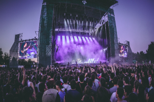 Festival Attracts Significantly More Visitors