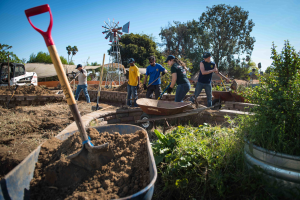 Gruppe von Menschen, die mit Schaufeln in einem Gemeinschaftsgarten arbeiten, umgeben von Pflanzen, Bäumen und einer Windmühle im Hintergrund, mit einem Eimer Erde im Vordergrund.