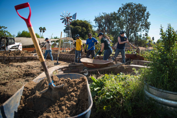 Gruppe von Menschen, die mit Schaufeln in einem Gemeinschaftsgarten arbeiten, umgeben von Pflanzen, Bäumen und einer Windmühle im Hintergrund, mit einem Eimer Erde im Vordergrund.