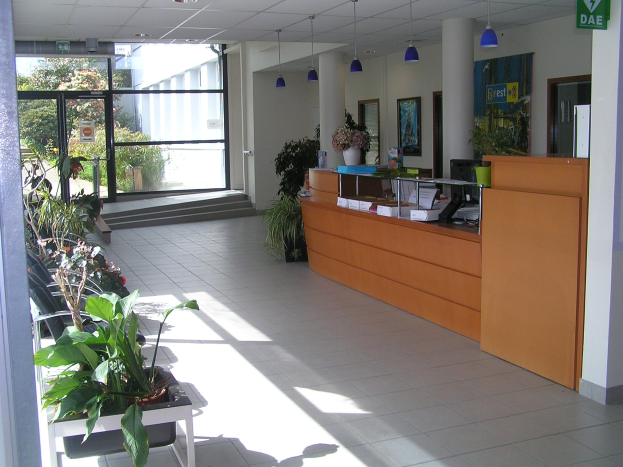 Lobby mit Empfangstheke, Hauspflanzen, hängenden elektrischen Leuchten, an der Wand angebrachten Namensschildern und einer Glastür, die eine gemütliche Atmosphäre schaffen.