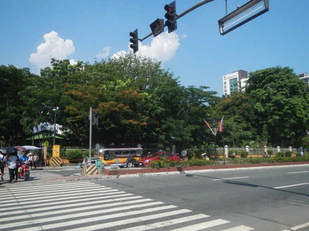 Stadtstraße mit Zebrastreifen und Ampel, Fahrzeuge, Fußgänger mit Schirmen auf dem Gehweg, Bäume, Gebäude und bewölkter Himmel.