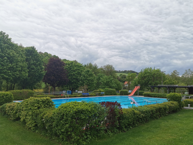 Großer rechteckiger Swimmingpool umgeben von Grünflächen, Bäumen, Pfählen, einem Schuppen und einem bewölkten Himmel.
