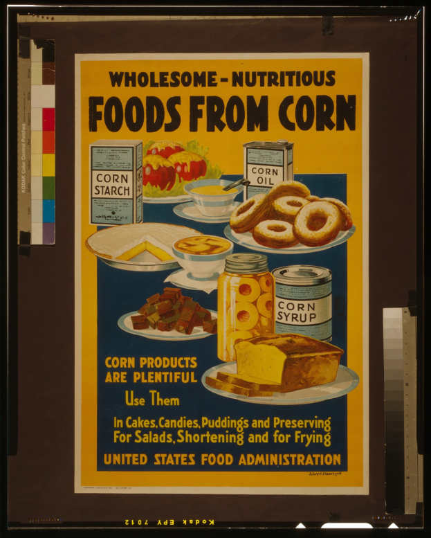 Buntes Plakat der United States Food Administration mit nährstoffreichen Lebensmitteln wie Obst, Gemüse, Getreide und Milchprodukten sowie schwarzer, fetter Schrift, die "Vollwertige-Nährstoffreiche Lebensmittel aus Mais" lautet, auf hellblauem Hintergrund.
