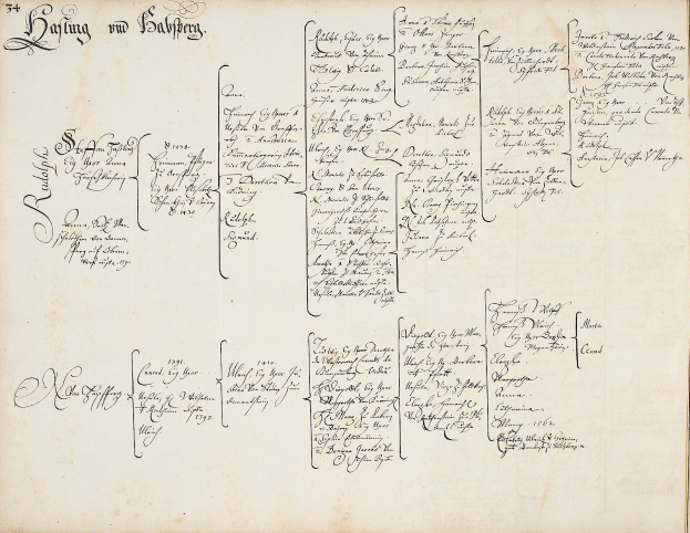 Ein altes Buch mit handgeschriebenem Text, der eine Familiengeschichte beschreibt, wahrscheinlich mit den Namen der Familienmitglieder, die in einen Autounfall verwickelt waren.