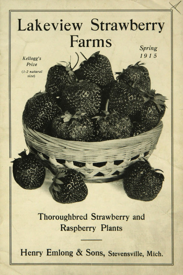 Plakat aus dem Frühling 1915, das Lakeview Strawberry Farms bewirbt und einen Korb reifer roter Erdbeeren zeigt, mit der Aufschrift "Zuchtstamm Erdbeeren und Himbeeren."