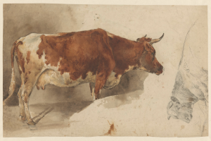 Eine braune und weiße Kuh steht aufrecht mit erhobenem Kopf und gespitzten Ohren neben einer anderen Kuh, die wegschaut, beide auf einem Papier mit Text.